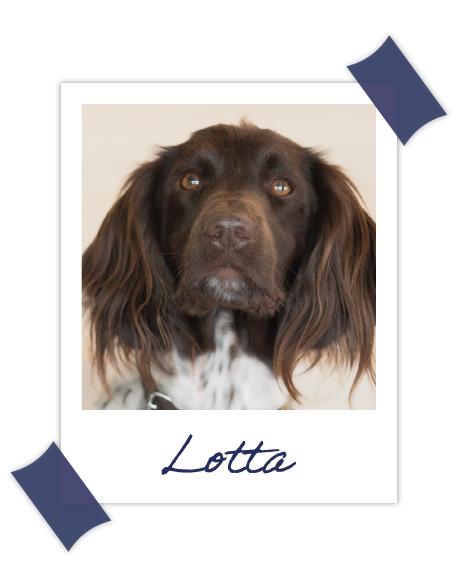Ein Polaroid-Bild der Feelgoodmanagerin Lotta
